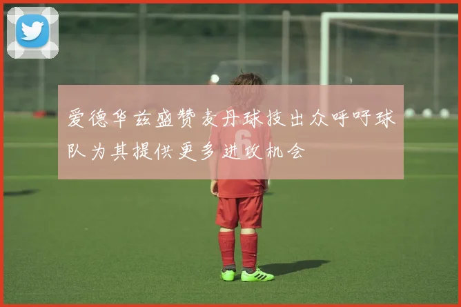 爱德华兹盛赞麦丹球技出众呼吁球队为其提供更多进攻机会
